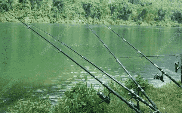 釣青魚餌料配方有哪些？怎么配制魚餌？(1)