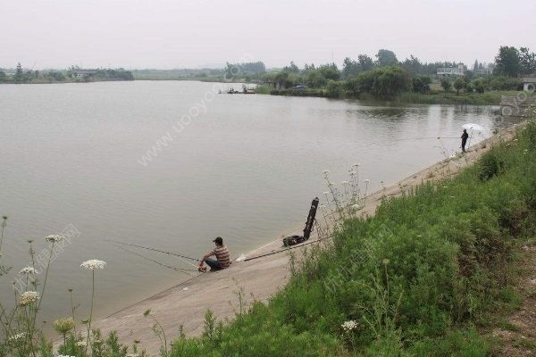 3名初一男生在水庫溺亡，學(xué)生預(yù)防溺水安全知識需了解(4)