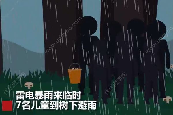 云南7名兒童上山撿菌子，樹下避雨時不幸遭雷擊(1)