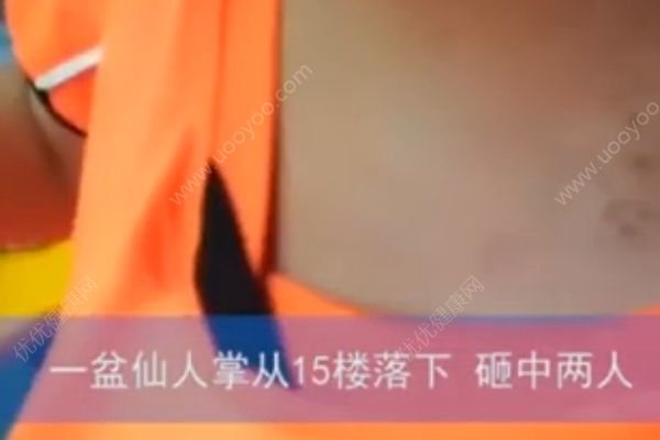 仙人掌從15樓掉落，男孩身上多處被砸成馬蜂窩(2)