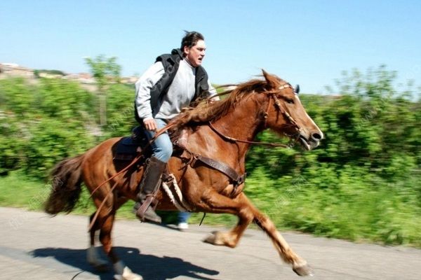 酒駕被查后又騎馬上路，不慎墜馬被摔骨折(3)