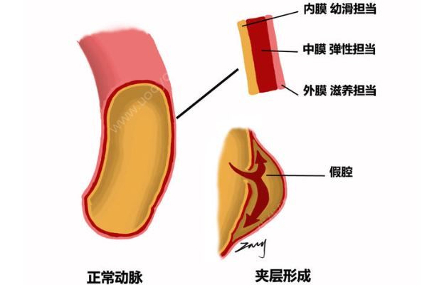 深圳52歲女子突發(fā)腹痛求醫(yī)，7小時打兩針醫(yī)院身亡(2)