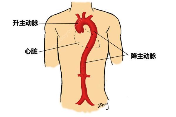 深圳52歲女子突發(fā)腹痛求醫(yī)，7小時打兩針醫(yī)院身亡(3)