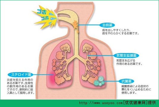 長跑有什么好處？長跑對身體的好處有哪些？(2)