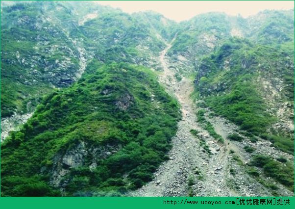 登山時下暴雨怎么辦？登山時如何預(yù)防危險？(3)