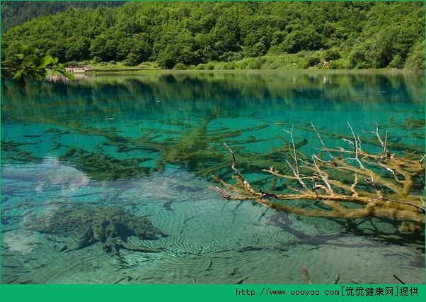 畢業(yè)旅行去哪里好？國內(nèi)畢業(yè)旅行推薦(6)