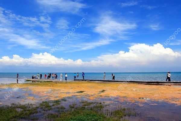 夏天去哪玩比較好？夏天去哪玩涼快？(5)