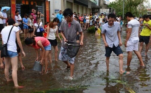 發(fā)洪水怎么抓魚？發(fā)洪水時的抓魚方法(6)