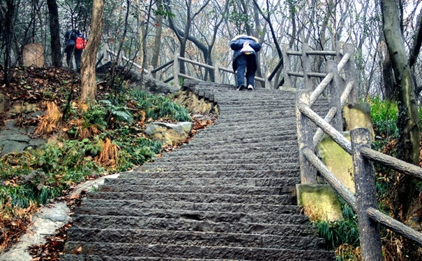 爬山瘦哪里？爬山能減肚子嗎？(1)