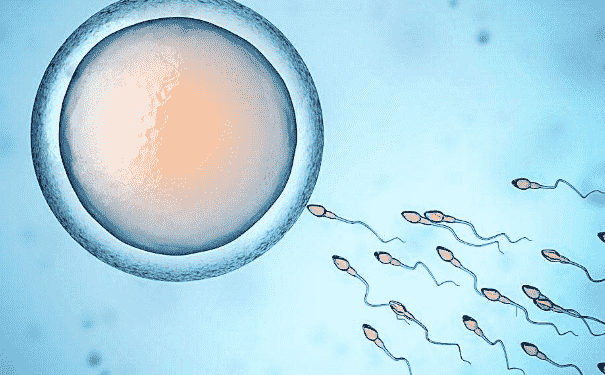精子存活率低有哪些原因？精子存活率低吃什么好？(1)