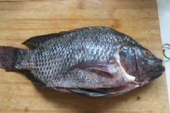 食用福壽魚(yú)要注意哪些？挑選福壽魚(yú)有什么技巧？[圖]