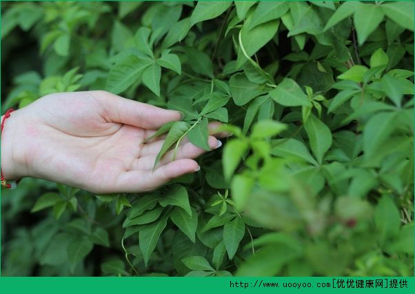 皮膚能整容美白嗎？整容能讓皮膚變白嗎？(4)