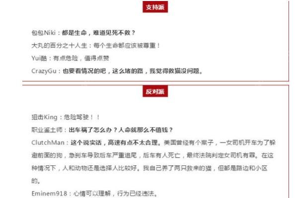 女司機高架上停車救小貓，應(yīng)該救還是不救？高架橋開車注意事項(3)