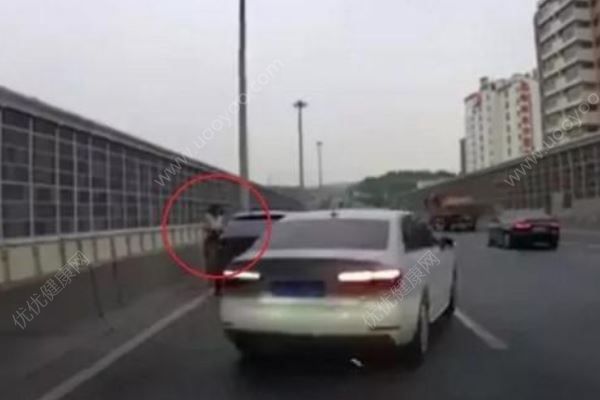 女司機高架上停車救小貓，應(yīng)該救還是不救？高架橋開車注意事項(4)