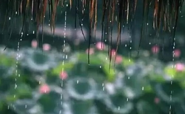 梅雨是什么時候？梅雨季節(jié)是什么時候？(1)