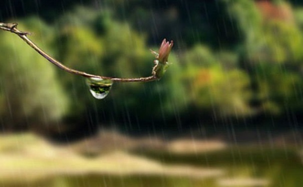 梅雨季節(jié)如何防潮？梅雨季節(jié)房間潮濕怎么辦？(1)