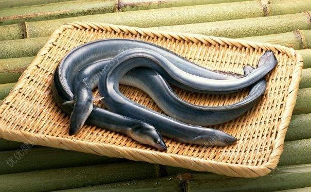 一家六口吃魚中毒緊急送院，這毒素竟比河豚強100倍(2)