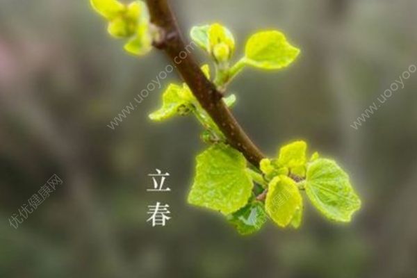 立春養(yǎng)生攻略有哪些？立春養(yǎng)肝有哪些方法？(1)