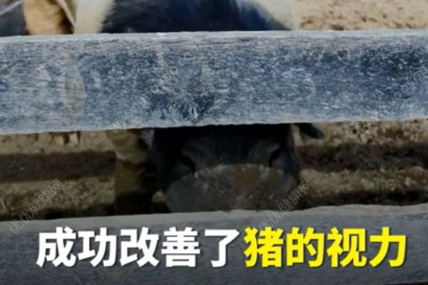 納米眼藥水有望取代眼鏡！以后都不用做小四眼了？(4)