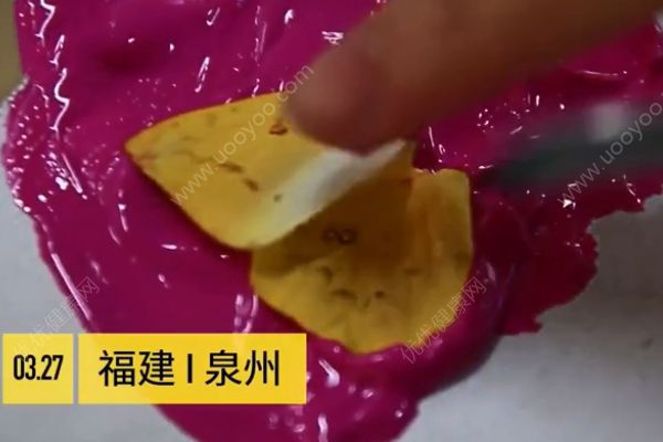 用活蝴蝶做畢業(yè)設計！是藝術還是殘忍？(1)