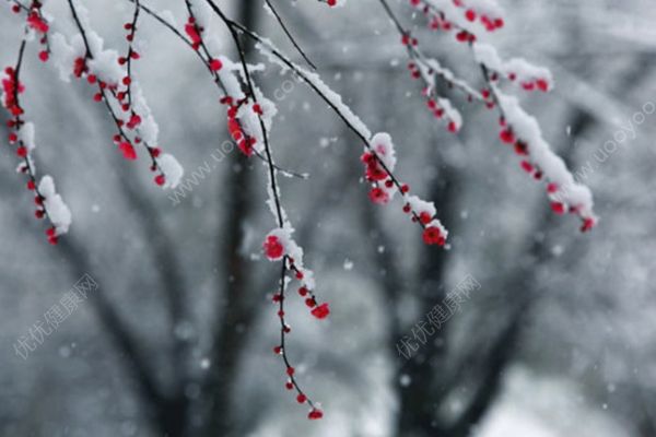 北京發(fā)布暴雪預(yù)警，30年來首次四月飛雪(4)