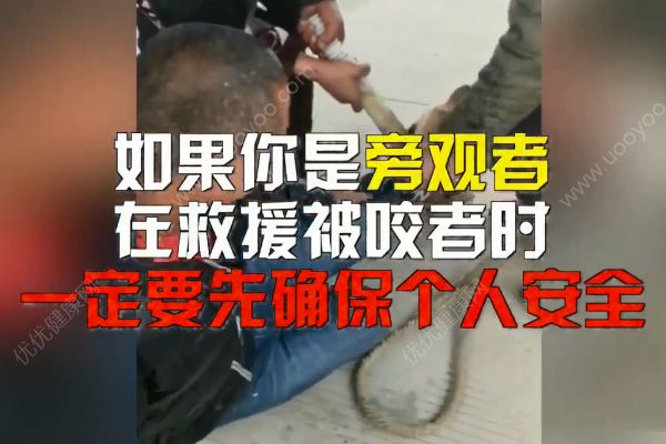 惡犬撲咬無路逃！下一步你該咋辦？(4)