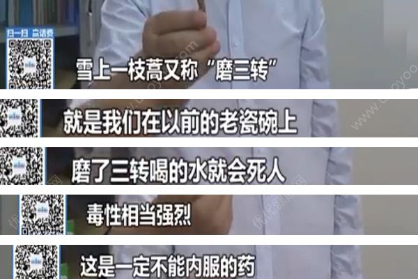 重慶“飲自配藥酒中毒事件”原因查明，藥酒內(nèi)含劇毒中藥！(4)