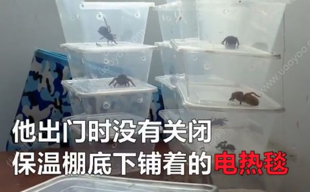 電熱毯燒死寵物 如何防止電熱毯短路？(3)