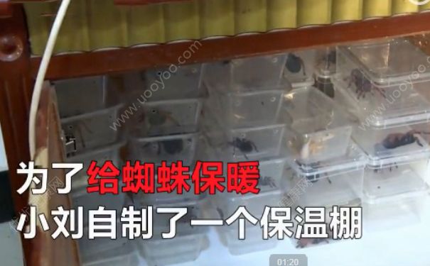 電熱毯燒死寵物 如何防止電熱毯短路？(4)