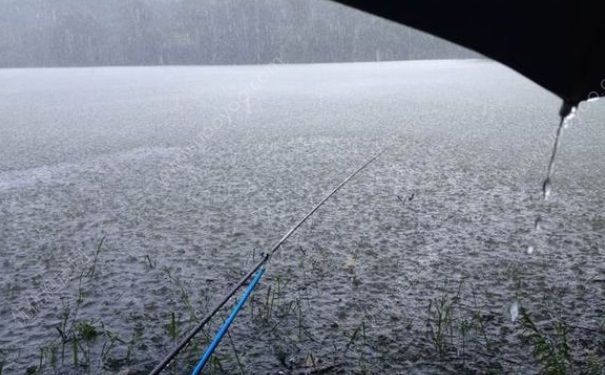 下雨天有魚釣嗎？夏季大雨天釣魚好嗎？(1)