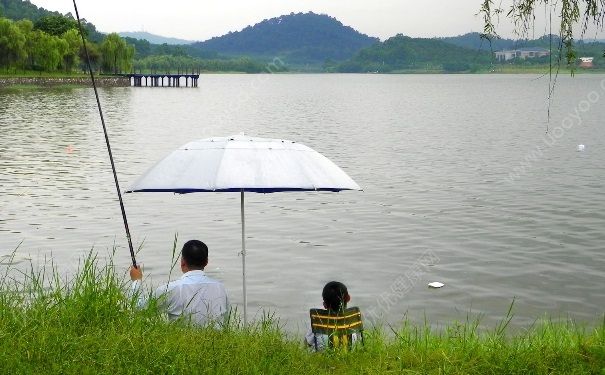 下雨天有魚釣嗎？夏季大雨天釣魚好嗎？(2)