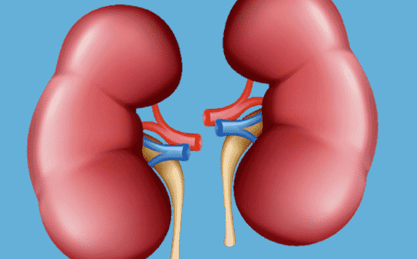 如何判斷腎好不好？腎病的信號(hào)是什么？(1)