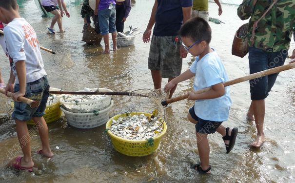 洪水里的魚能吃嗎？洪水里的魚可不可以吃？(2)