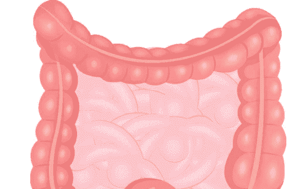 保護(hù)腸胃有哪些妙招？怎么保護(hù)腸胃最好？(1)