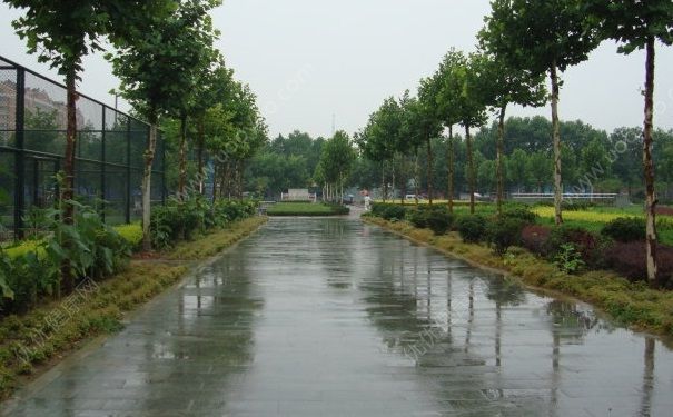 淋雨為什么會(huì)感冒？淋雨后怎么預(yù)防感冒？(1)