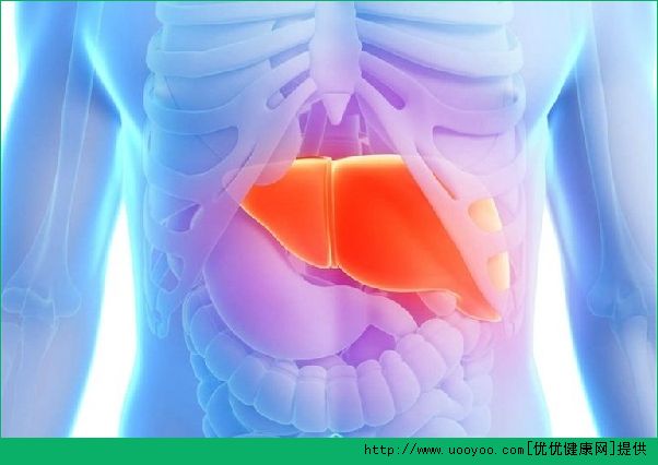 肝臟如何保養(yǎng)？教你生活中的保健方法(1)