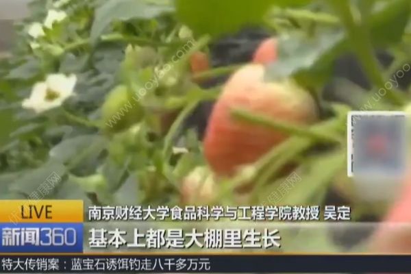 最臟水果排行榜不靠譜，專家：說草莓蘋果農(nóng)殘高沒依據(jù)(2)