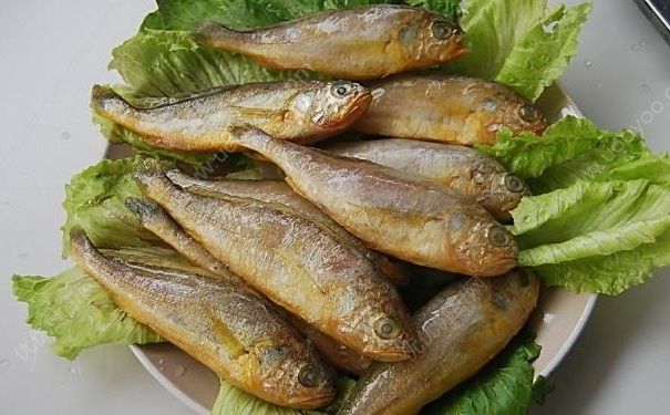 深圳小黃魚兩條4628元，吃小黃魚有什么好處？(2)