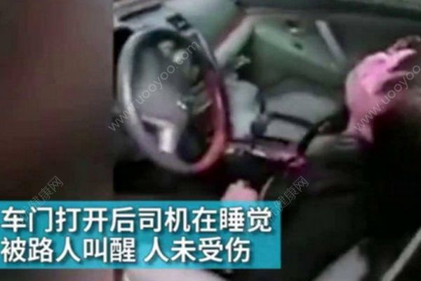 女司機開車睡著撞樹上，半天才將女司機叫醒(1)