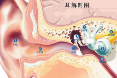 經(jīng)常挖耳屎影響很大！一招解決耳屎煩惱[多圖]