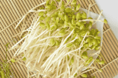 豆芽的營養(yǎng)價值高不高？吃豆芽對身體有哪些好處？[圖]