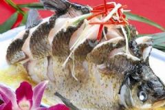 吃魚(yú)的哪個(gè)部位最營(yíng)養(yǎng)？魚(yú)的哪個(gè)部位營(yíng)養(yǎng)價(jià)值高？[圖]