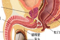 有效預(yù)防睪丸炎的方法有哪些？預(yù)防睪丸炎有什么好方法？[圖]