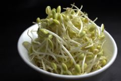 吃豆芽會(huì)胖嗎？豆芽會(huì)不會(huì)讓人長(zhǎng)胖？[多圖]