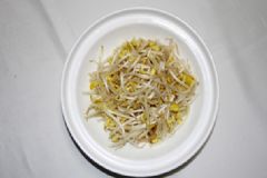 豆芽是酸性還是堿性？豆芽是堿性食物嗎？[多圖]