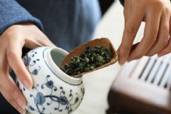 茶葉應(yīng)該怎么保存好？茶葉有什么好處？[多圖]