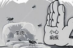 夏季需要預(yù)防哪些疾??？初夏時(shí)節(jié)正確的養(yǎng)生保健方法有哪些？[圖]