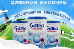 法國Gallia奶粉好不好？法國Gallia奶粉怎么樣？[圖]