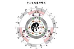 十二正經(jīng)是什么意思？十二正經(jīng)從哪里分左右?[多圖]