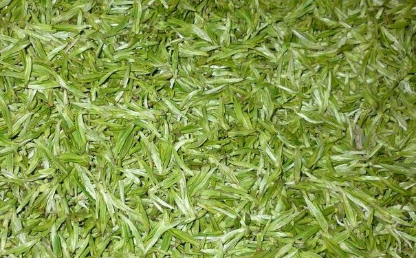 茶葉應(yīng)該怎么保存好？茶葉有什么好處？(1)